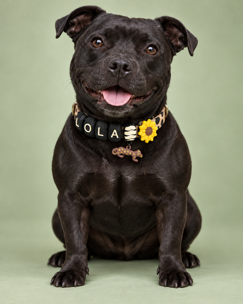 Lola